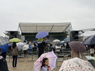 IMG_3534.JPG
